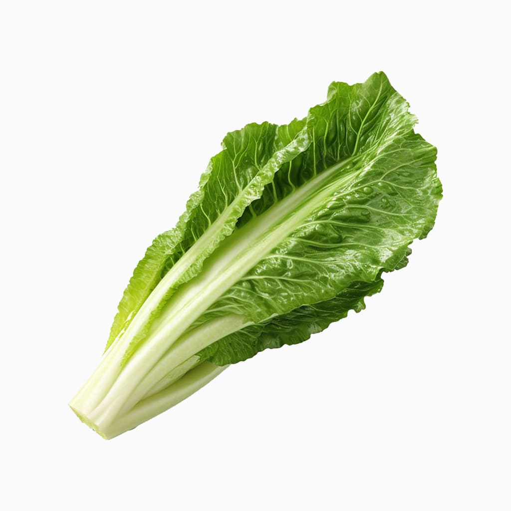 Sữa tươi organic